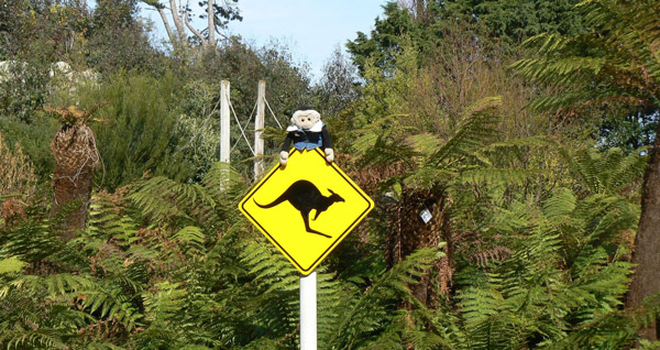 Mooch monkey on a kangaroo warning sign at the Ventnor Botanic Gardens, Isle of Wight.