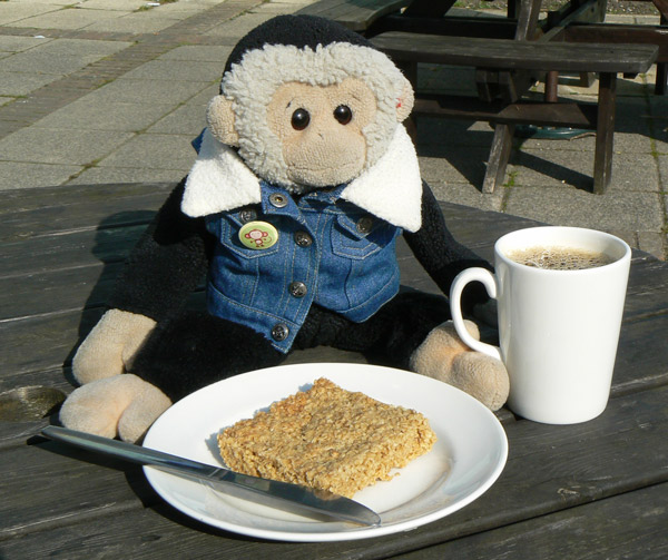 Mooch monkey at the cafe at the Ventnor Botanic Gardens, Isle of Wight.