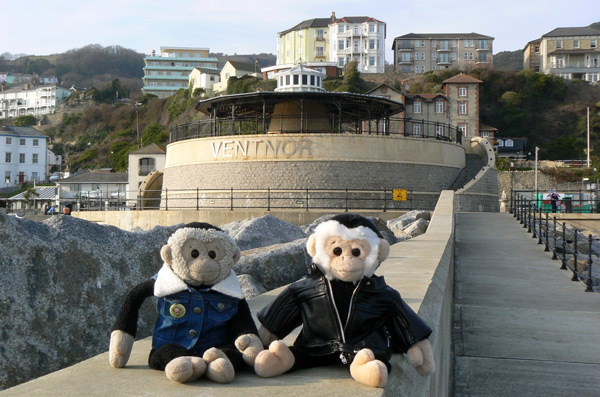 Mooch and Monty monkeys at Ventnor, Isle of Wight.