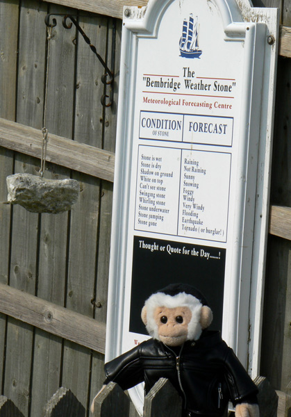Monty monkey at the "Bembridge Weather Stone", Isle of Wight.