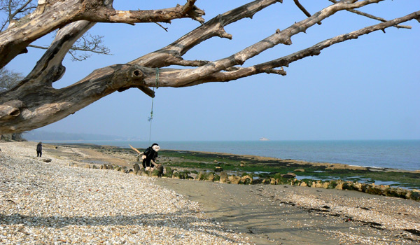 Monty monkey on the beach at Bembridge, Isle of Wight.