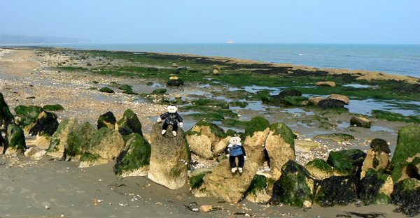Mooch and Monty monkeys on the beach at Bembridge, Isle of Wight.