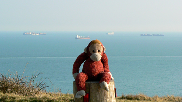 Big Mama Schweetheart, our orang-utan matriarch, with ships parked near the Isle of Wight.