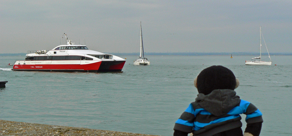 Mooch monkey watches a Red Jet ferry at Cowes.