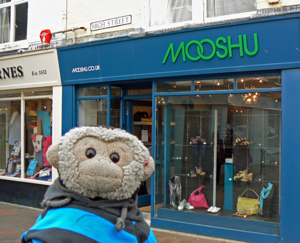 Mooch monkey at Cowes.