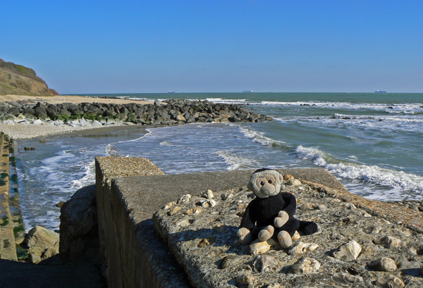 Mooch monkey on the beach at Bonchurch.