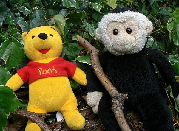 Winnie-the-Pooh and Mooch monkey collect sticks for playing Pooh Sticks.