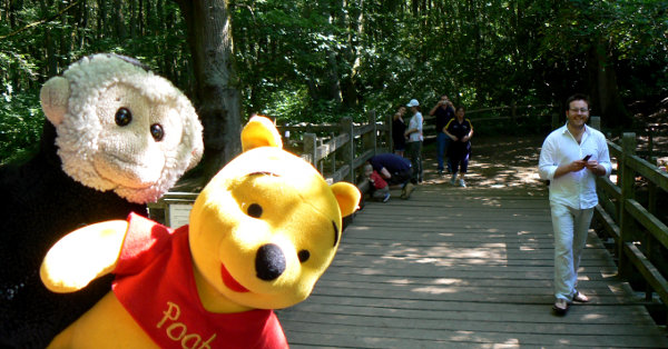 Winnie-the-Pooh and Mooch monkey at Pooh Bridge.