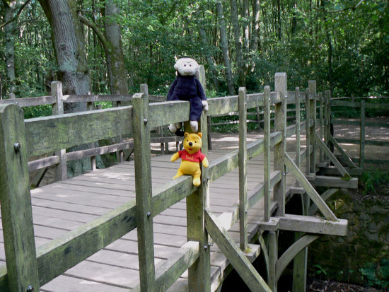 Mooch monkey and Winnie-the-Pooh on Pooh Bridge.