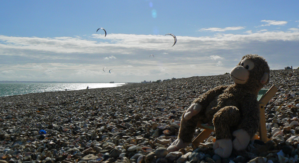 Bonsai monkey on Southsea beach with kites.