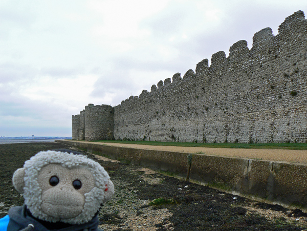 Mooch monkey at Portchester Fort.