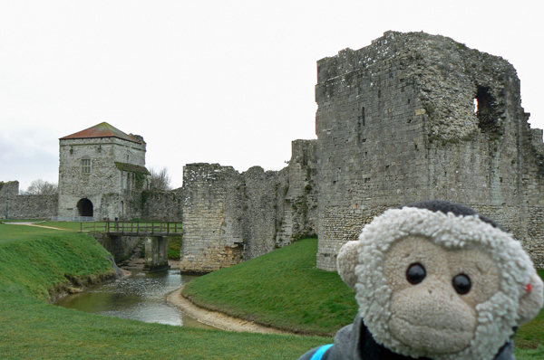 Mooch monkey at Portchester Castle.