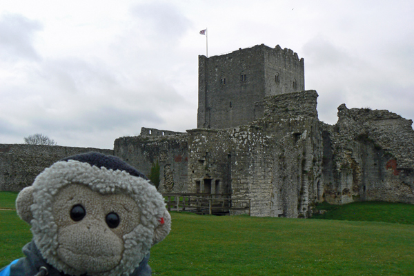 Mooch monkey at Portchester Castle.