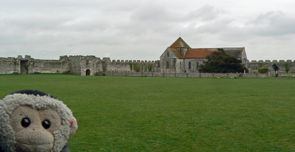 Mooch monkey at St Marys within Portchester Fort.