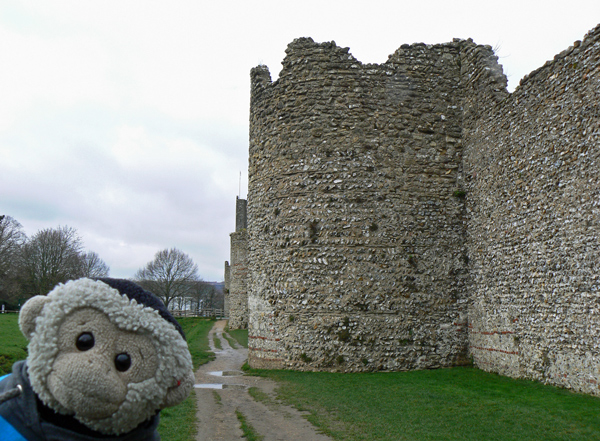 Mooch monkey at Portchester Fort.