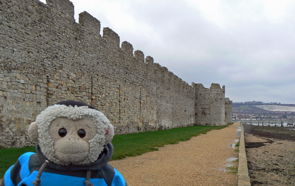 Mooch monkey at Portchester Fort.