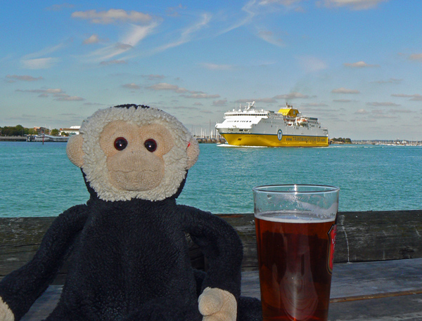 Mooch monkey with a beer, Portsmouth.