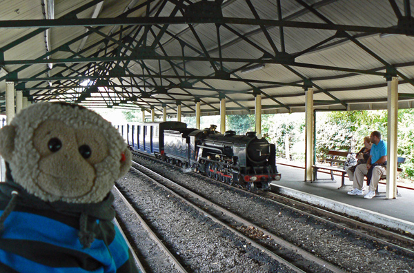 Mooch monkey watches a train arriving at Hythe station.