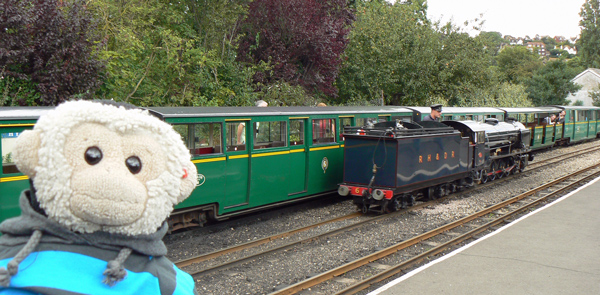 Mooch monkey watches a steam engine reversing at Hythe station.