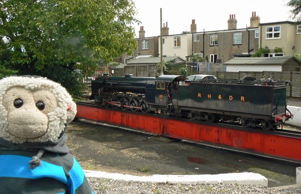Mooch monkey watches an engine on the turntable at Hythe station.