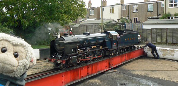 Mooch monkey watches a steam engine on the turntable at Hythe station.