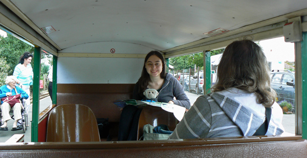 Mooch monkey in a train on the Romney Hythe & Dymchurch Railway.