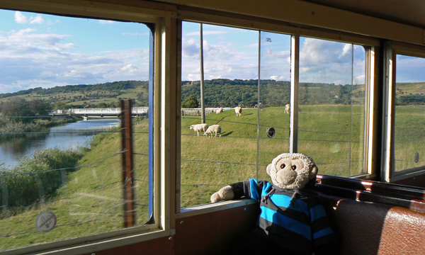 Mooch monkey on Romney Hythe & Dymchurch Railway train.