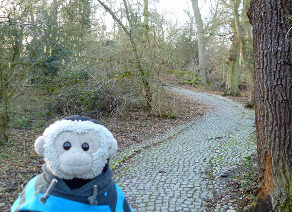Mooch monkey at Runnymede, the path to the Kennedy Memorial.