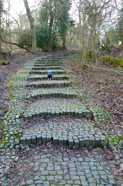 Mooch monkey at Runnymede, the path to the Kennedy Memorial.