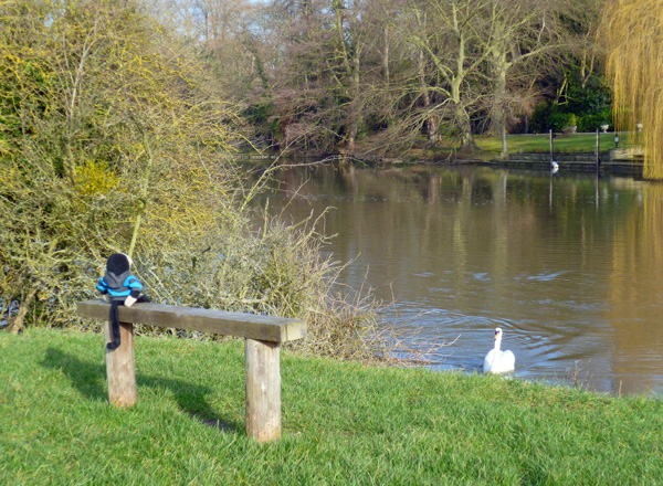 Mooch monkey at the Thames, Runnymede.