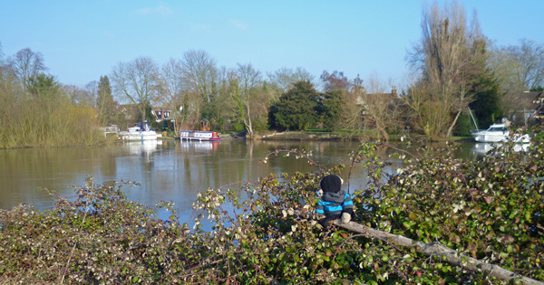 Mooch monkey at the Thames, Runnymede.