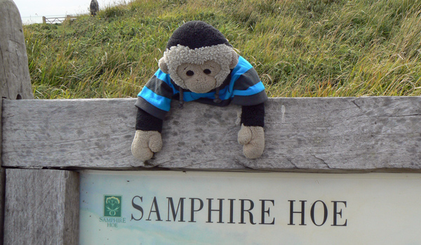 Mooch monkey at Samphire Hoe.