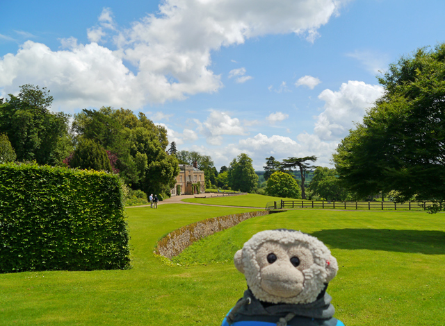 Mooch monkey at Titsey Place