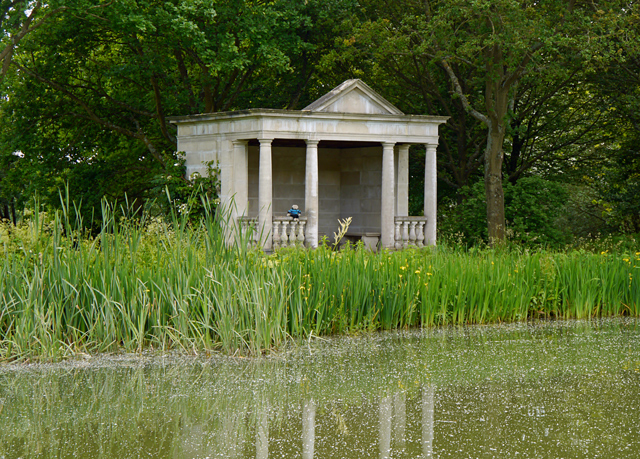 Mooch monkey at Titsey Place