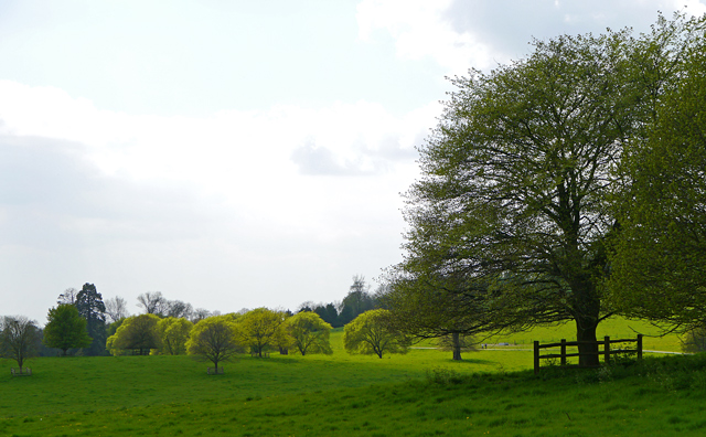 Mooch monkey at Titsey Place