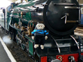 Mooch monkey on a steam train of the Romney Hythe & Dymchurch Railway.