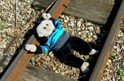Mooch monkey at the Romney Hythe & Dymchurch Railway.