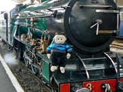 Mooch monkey on a steam engine of the Romney Hythe & Dymchurch Railway