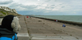 Mooch monkey at Samphire Hoe, near Dover in Kent