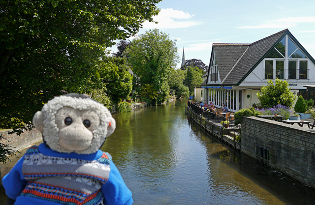 River Avon - Salisbury 2015 - Mooch monkey