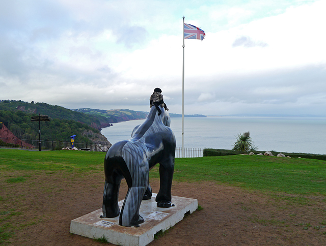 Mooch monkey looks out to sea with Hope a Great Gorilla