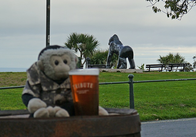 Mooch monkey with a beer, near Great Gorilla named Hope