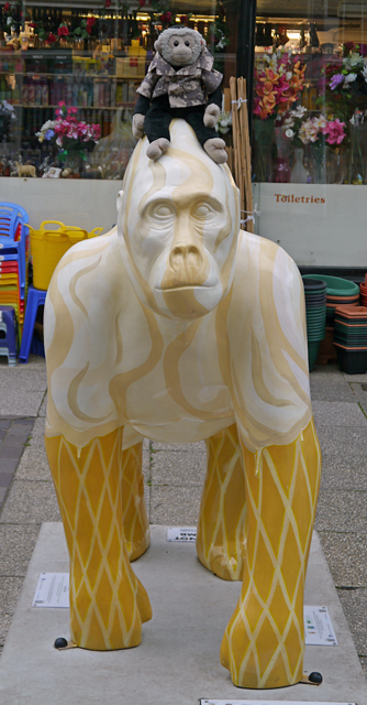 Mooch monkey sits on the Great Gorilla called Vanilla Gorilla