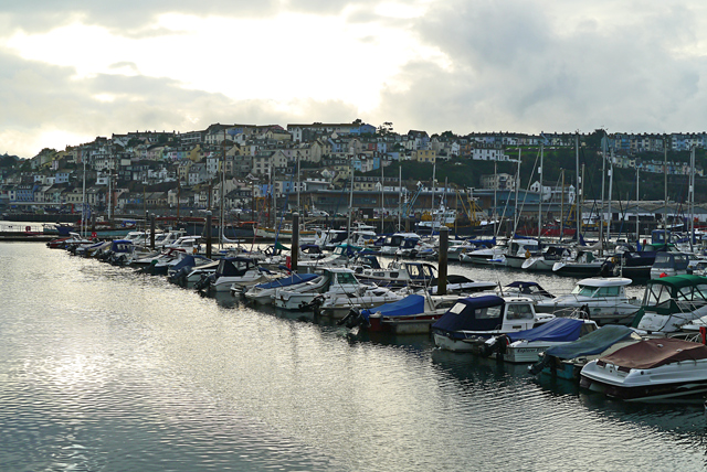 Mooch monkey - Brixham harbour