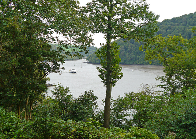 Mooch monkey - view of the River Dart from Greenway