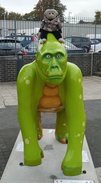 Mooch monkey sits on the Great Gorilla called Dragilla in Paignton