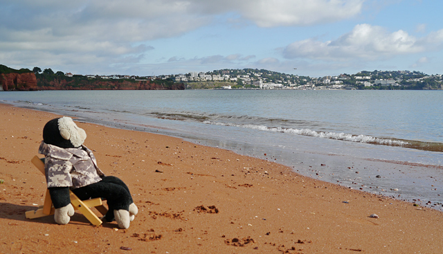 Mooch monkey sits in his deckchair on Paignton Beach