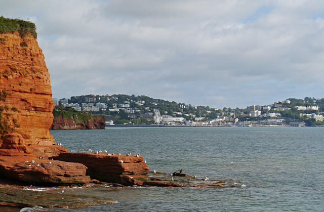 Looking across Torbay towards Torquay