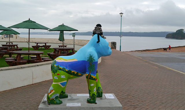 Mooch monkey sits on Beverley a Great Gorilla looking at Torbay