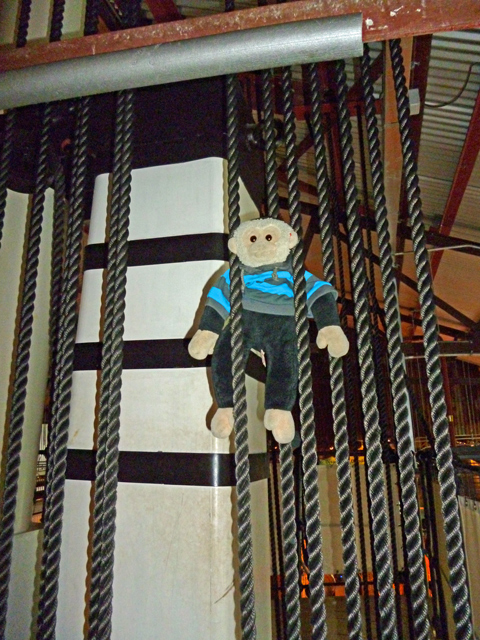 Mooch monkey at ss Great Britain in Bristol - rope climbing